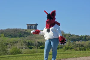 A photo featuring @kita_deathstar in front of Penshaw Monument