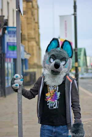 A photo featuring @_matt_wolf