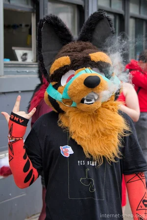 A photo featuring @sheppermax
